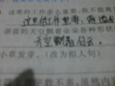 白桦拟人化句子