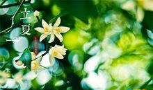 关于立夏的谚语50