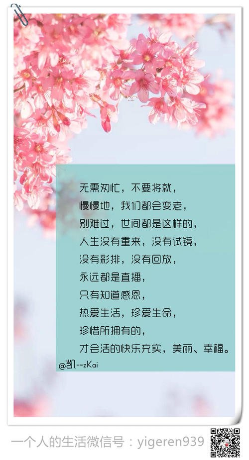 生命急速行情