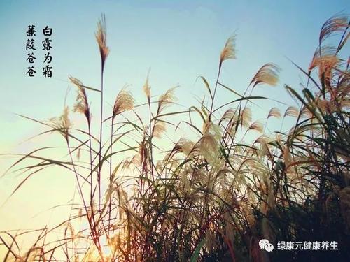 白鹿谚语