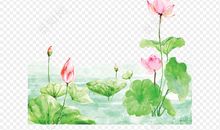 立夏的节气谚语