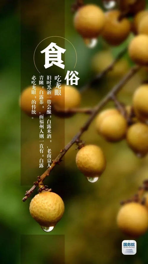 白鹿民间谚语