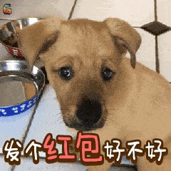 最时尚的祝福