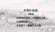 描写乡愁的诗句