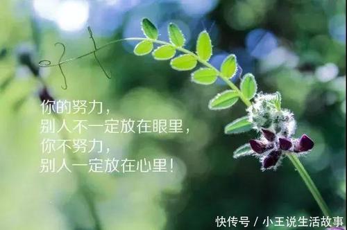 哲学句子