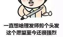 刚理发碰上大胡子的歇后语