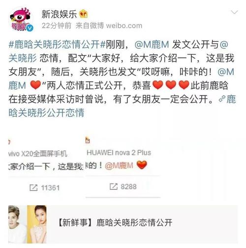 宣布关系的简短描述