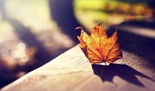 运气不好的说说