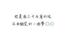 倒过来念是情话的句子