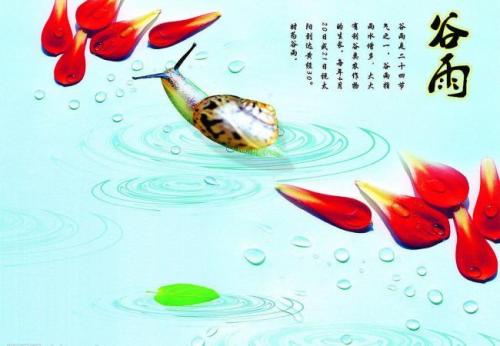 关于雨的谚语