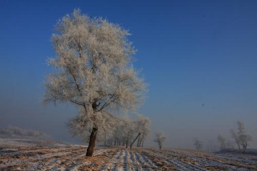 冰雪两句