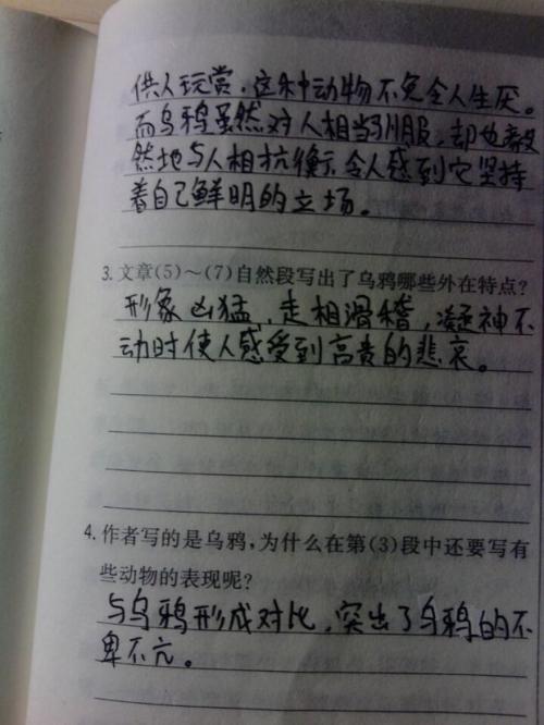 18个平行句子