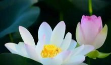 缘分祝福语大全