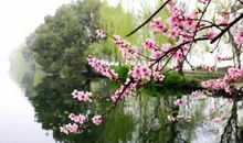 描写三月美景的句子