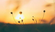 去世安慰人的话