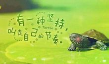 心灵反鸡汤经典语录