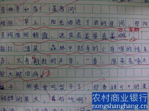如果是这样的话