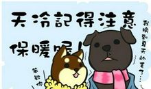 描写12月天气的句子