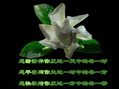 知己的祝福