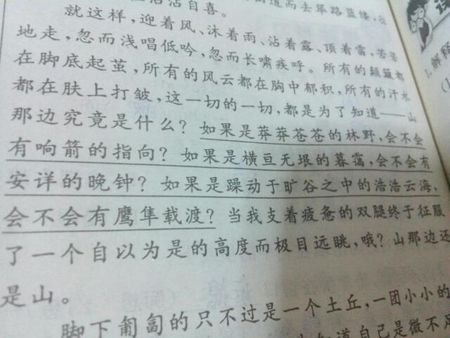 猫的平行句子