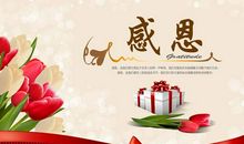 感恩节感恩的话