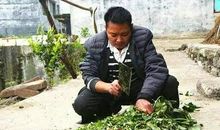 贫穷并不可怕,可怕的是缺少自强自立的精神