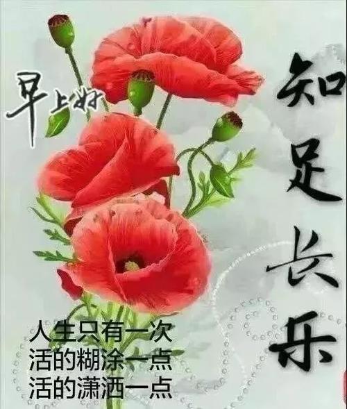 睡觉前热烈的问候