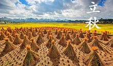 关于立秋农谚语