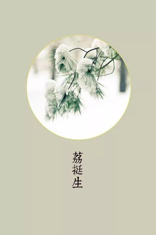 大雪节的祝福