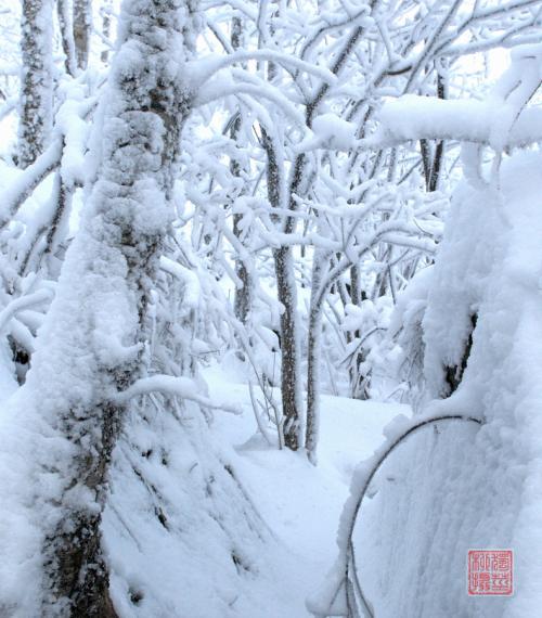 冰雪两句