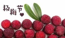 关于杨梅比喻句