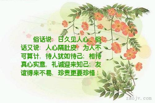 知己谚语