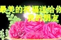 星期六的有趣问候