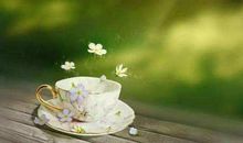 内心淡然,谦逊平和,宽待众生