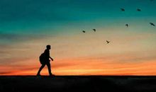 人生有时候别无选择,只能没头没脑地往前走