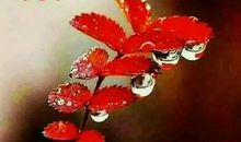 领导新年祝福语2020新年