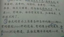 形容老师外貌的句子