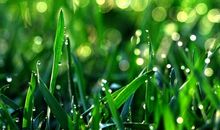 关于谷雨节气的谚语