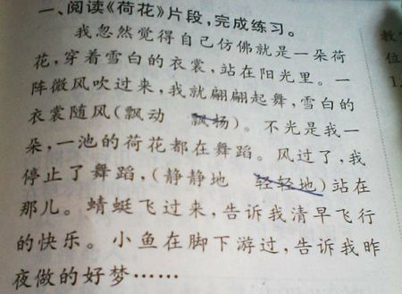 昆虫拟人化句子