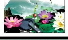 磨练意志的名言