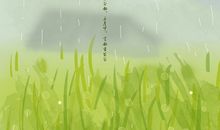 节气谷雨有关的谚语