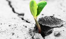 困难逆境的名人名言