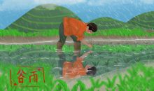 描写谷雨的谚语