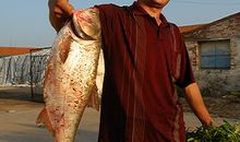 穷木匠开张歇后语