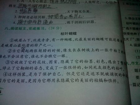 描述香蕉的比喻