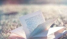 表达兄弟情义的短句