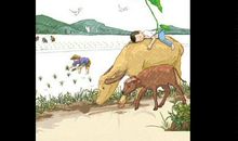 关于谷雨的农业谚语
