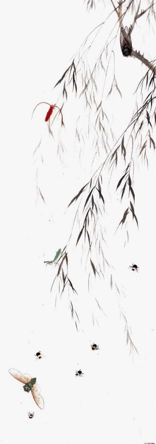 小柳树