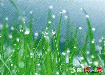 春雨是个比喻