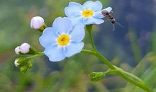 真正朋友的经典语录